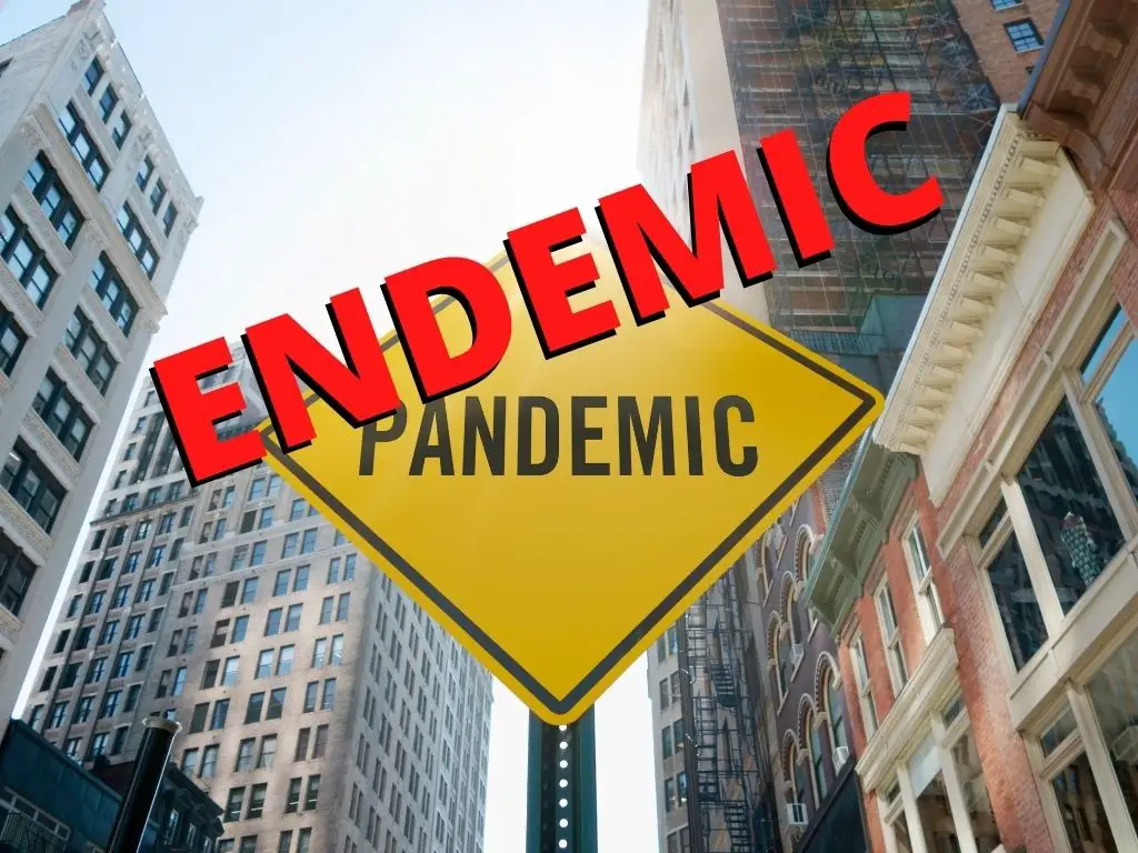 Endemic Pandemic