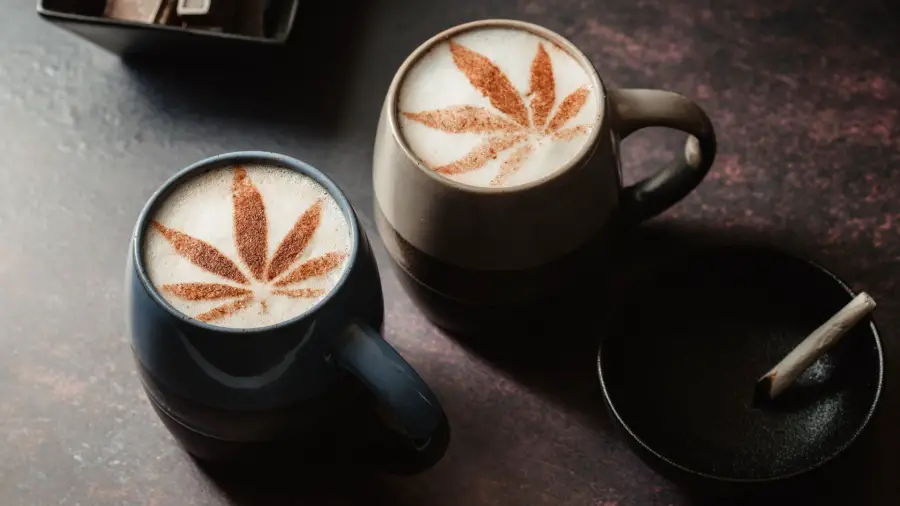 Cannabis Cafe