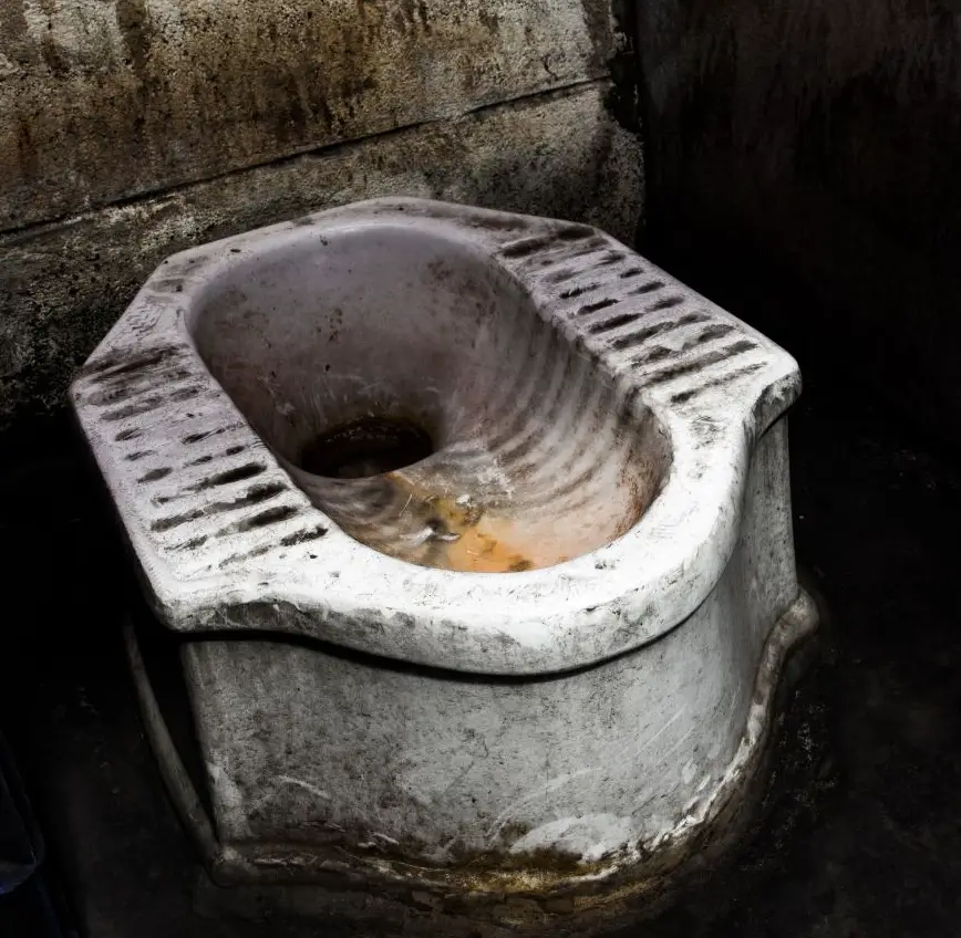 Squat toilet in the wild